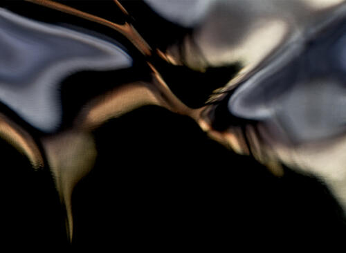 Slipping Into the Night