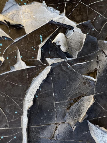 At the Starting Gate